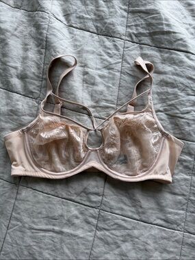 Understance Sheer Lace Underwire Bra in Blush Pink